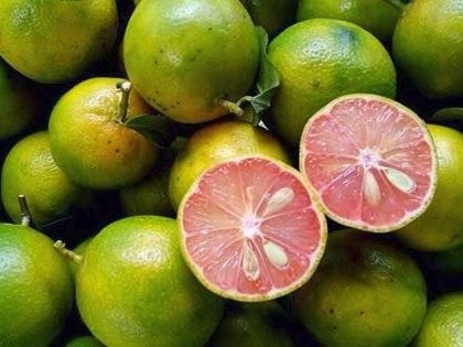 Cách chọn chanh đào