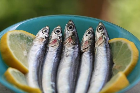 7 loại cá được đánh giá tốt cho sức khỏe