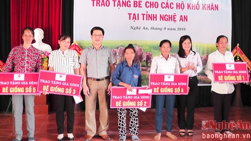 Quỹ 'Tấm lòng Việt'  trao bê giống cho hộ nghèo