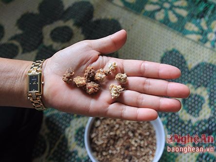 Bí quyết làm mốc chuẩn tương Nam Đàn