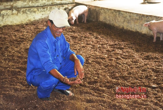 Ông chủ trang trại 'không mùi' được vinh danh Nông dân Việt Nam xuất sắc 2016