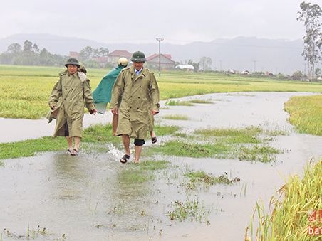 Kiểm tra tình hình mưa lũ, bổ cứu sản xuất ở một số địa phương