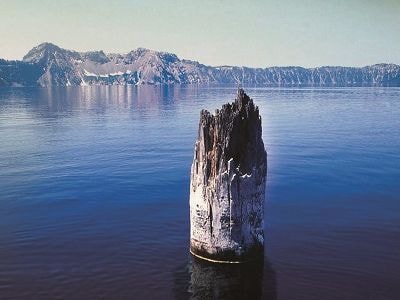 Khiếp sợ với khúc cây 'gọi bão'