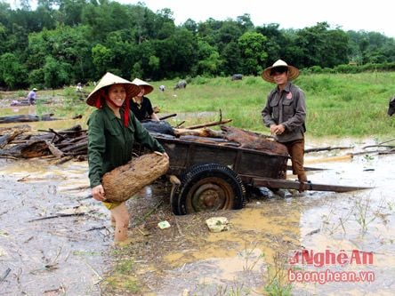 Người dân đổ xô vớt củi lụt trên sông Lam