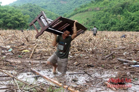 Đổ xô về đập thủy điện vớt gỗ sau lũ