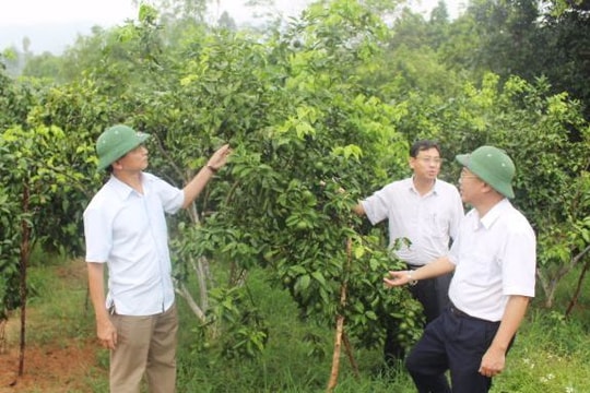 Luân chuyển, điều động cán bộ - thuận và khó!