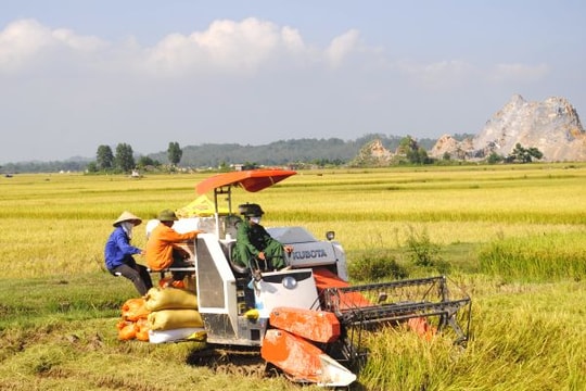 Dư luận về việc 'thu phí' máy gặt ở huyện Yên Thành