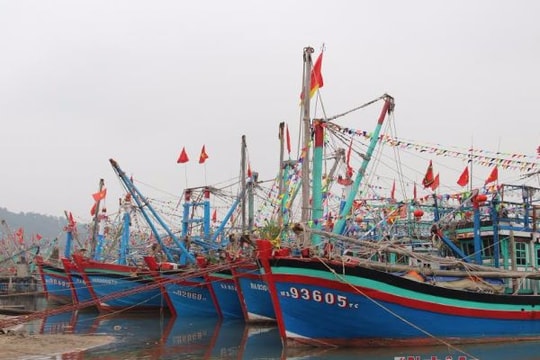 Quyền lợi khi ngư dân tham gia Bảo hiểm tàu thuyền