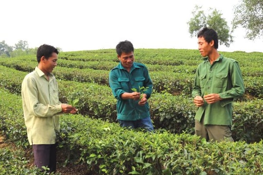 Bí thư chi đoàn giỏi V-A-C