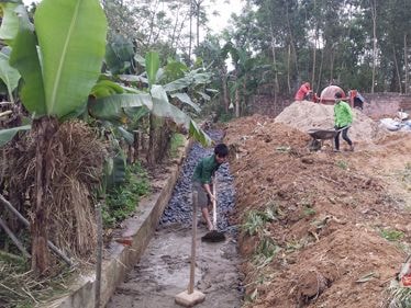 Ưu tiên kinh phí xử lý ô nhiễm tại các khu vực tồn lưu hóa chất BVTV