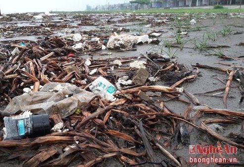 Hàng tấn rác ngập bờ biển du lịch Diễn Thành