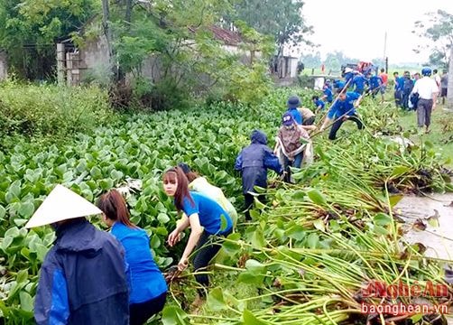 Dấu ấn mùa hè của tuổi trẻ Diễn Châu