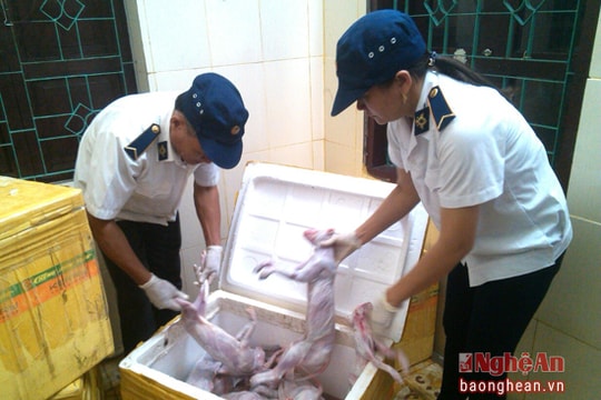 Xe khách vận chuyển 320 kg thịt mèo 'lậu'