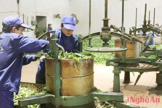 Các dự án đầu tư vào nông nghiệp ở Nghệ An chỉ chiếm 4,67%