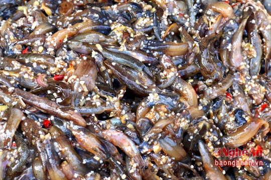 Lạ với món ăn ngon từ nòng nọc của người Thái Nghệ An