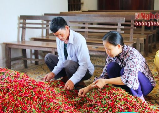 Nâng năng lực quản lý cho đội ngũ cán bộ Hợp tác xã