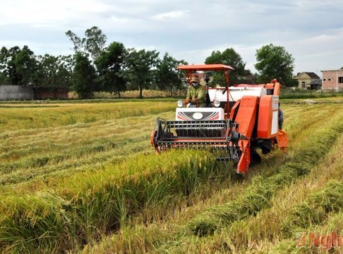 'Bảo kê' máy gặt lúa, lĩnh 16 tháng tù giam