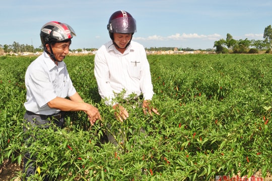 Nam Đàn cần hạn chế nợ đọng trong xây dựng nông thôn mới