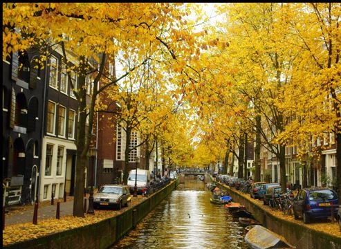 7 sự thật chứng minh Hà Lan là đất nước hình mẫu tương lai