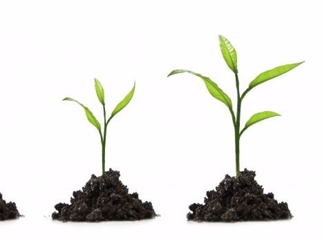 Cần khơi dậy tinh thần khởi nghiệp trong mỗi con người Nghệ An