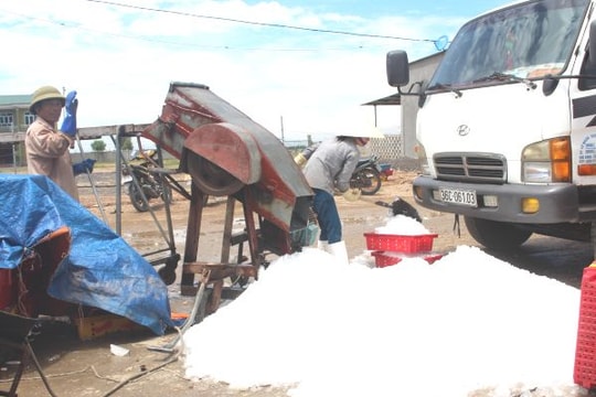 Cần gắn kết giữa khai thác và chế biến, tiêu thụ hải sản