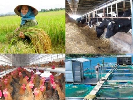 Chuyển đổi nông nghiệp thành công là động lực tăng trưởng của Việt Nam