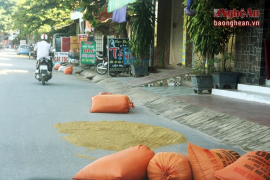 Khi quốc lộ thành... sân phơi