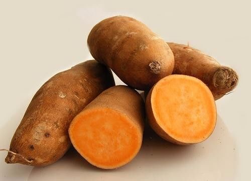 Dinh dưỡng 'vàng' từ khoai lang