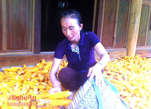 Người phụ nữ Mông tiên phong phát triển kinh tế vùng biên viễn