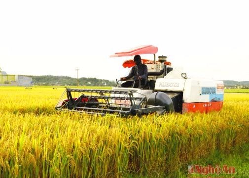 Dồn điền đổi thửa - chủ trương hợp lòng dân