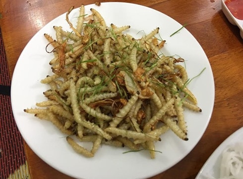 Sâu tre 500.000 đồng/kg - cung không đủ cầu