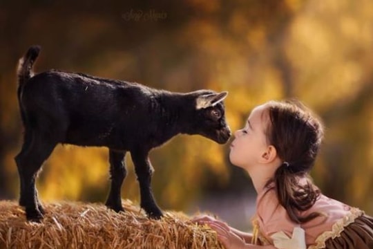 Bộ ảnh yêu động vật mẹ chụp con gái quá ngọt ngào