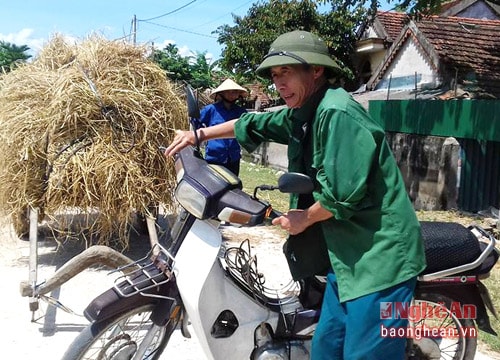 Ngày mùa và câu chuyện góp rơm
