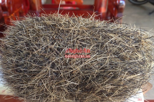 Sự thật về công dụng của cát lợn giá hàng tỷ đồng