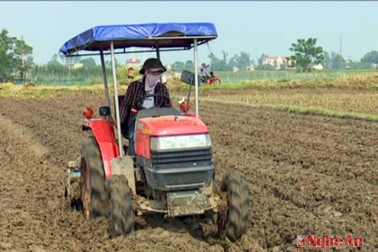 Xã thuê máy cày hỗ trợ nông dân làm đất vụ đông