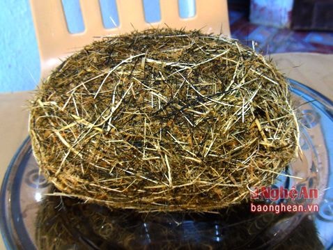 Tiếp tục phát hiện 'cát lợn' gây xôn xao ở Nghệ An