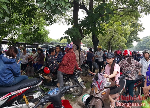 Công nhân Matrix Vinh đồng ý trở lại làm việc