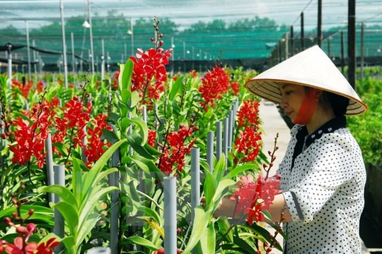 Công bố danh sách 63 gương nông dân Việt Nam xuất sắc năm 2016