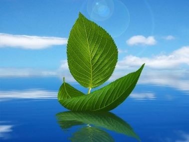 6 điều cần tâm niệm mỗi ngày để cuộc đời an nhiên tự tại