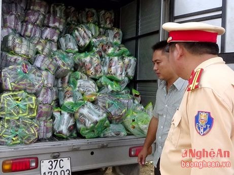 Bắt giữ lô bánh mỳ hết hạn sử dụng