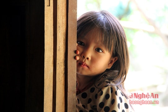 Những ánh mắt thơ trẻ vùng cao xứ Nghệ
