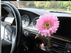 5 lưu ý để bài trí xe ô tô hợp phong thủy