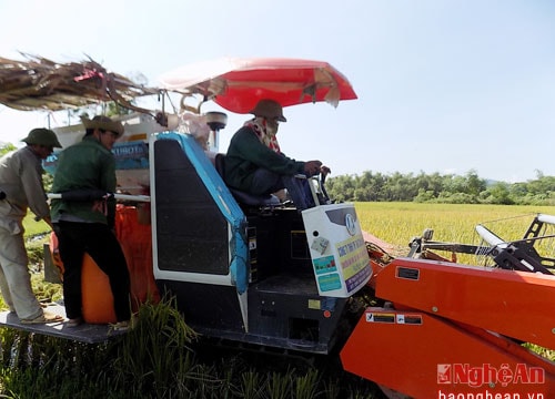 Nông dân Quỳ Hợp đầu tư máy gặt đập liên hợp