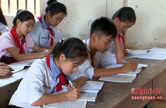 Giáo viên Văn dạy Sinh học: Nghịch lý ở Nghệ An