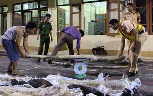 6 tạ gỗ sưa đỏ trong xe khách bị bắt giữ