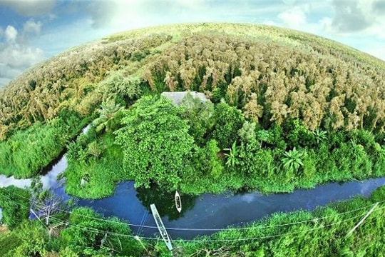 5 rừng tràm nhất định phải ghé mùa nước nổi