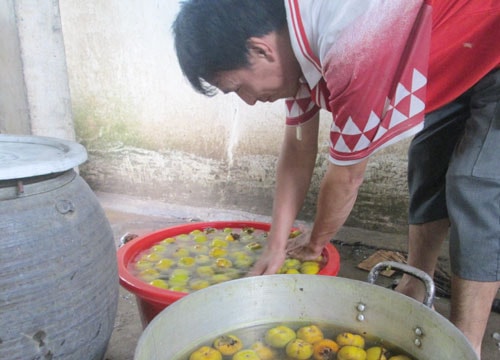 Ngọt bùi 'hồng cậy' ngâm xứ Tương