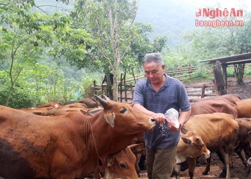 Người Khơ Mú tiên phong làm trang trại dưới chân Pu Thoong