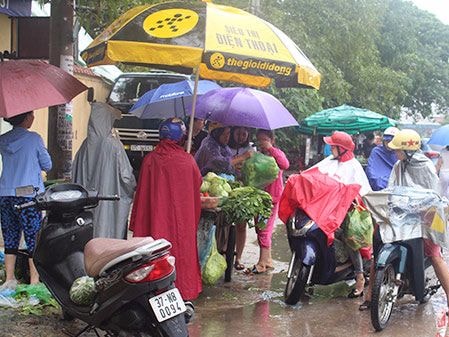 TP.Vinh: Chợ thành sông, rau xanh đắt hàng