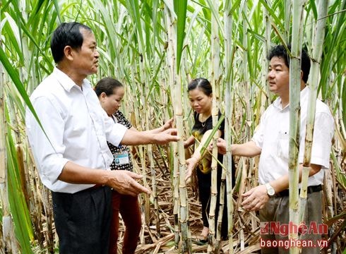 Thủ tướng phát động phong trào: 'Cả nước chung tay vì người nghèo – Không để ai bị bỏ lại phía sau'